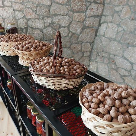 Vila Rira - Rrajce, Shebenik Perrenjas Dış mekan fotoğraf
