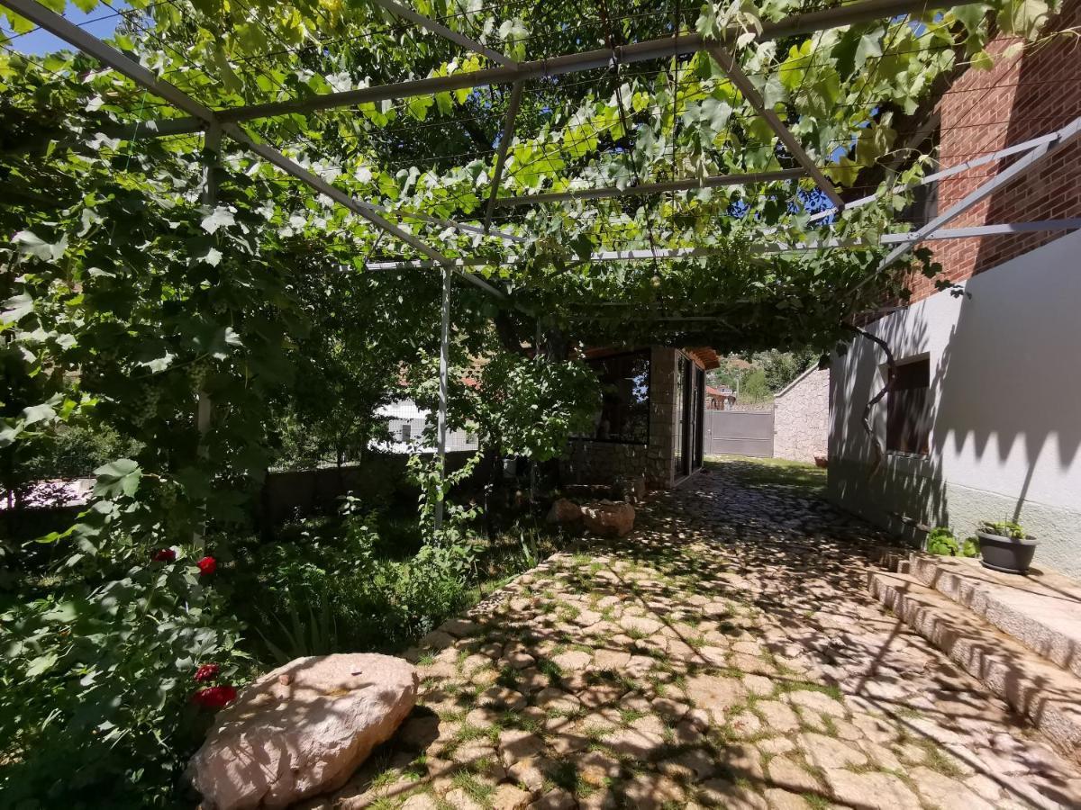 Vila Rira - Rrajce, Shebenik Perrenjas Dış mekan fotoğraf