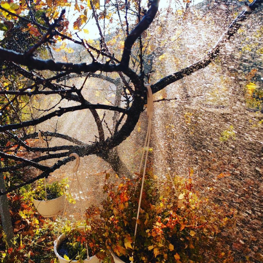 Vila Rira - Rrajce, Shebenik Perrenjas Dış mekan fotoğraf