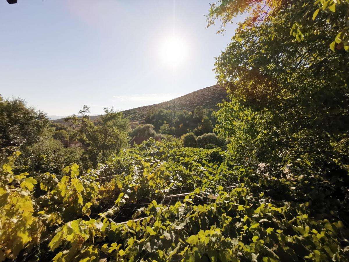 Vila Rira - Rrajce, Shebenik Perrenjas Dış mekan fotoğraf